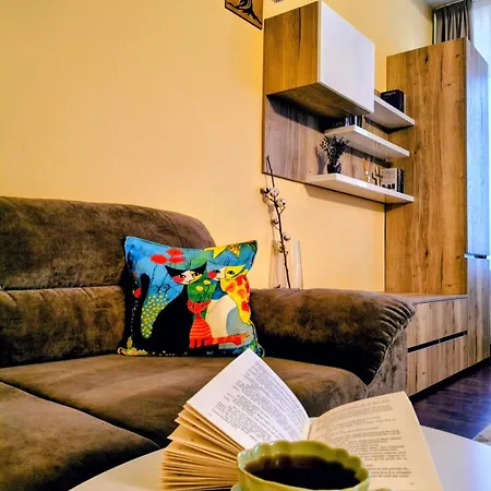 Apartman Cozystaybrasov *