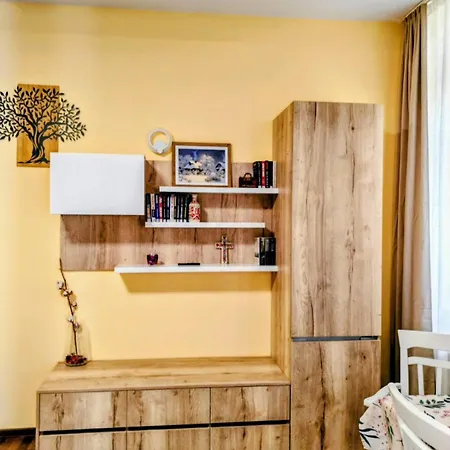 Lejlighed Cozystaybrasov Braşov