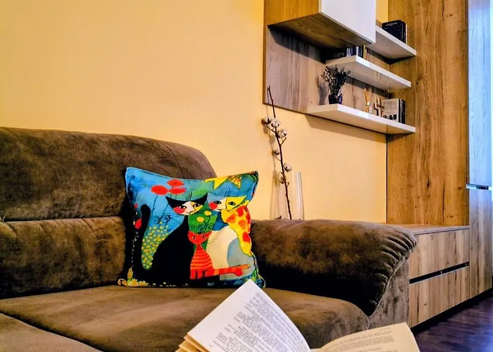 Διαμέρισμα Cozystaybrasov *